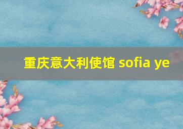 重庆意大利使馆 sofia ye